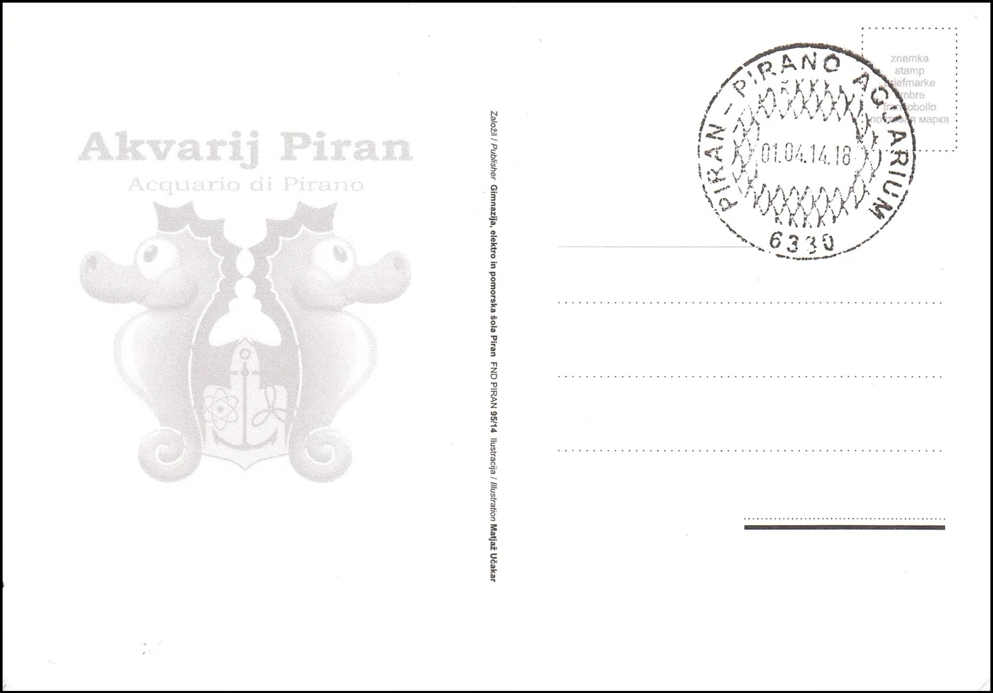 SLOVENSKO MORJE